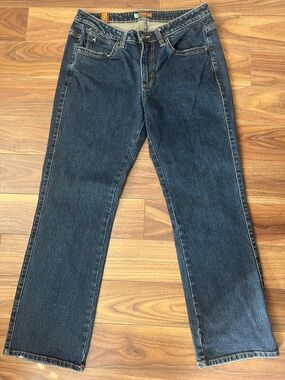 Aura Dark Blue Denim Jeans Women Petite 10P Casual
